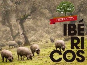 magrama, semana, ibericos, cerdo