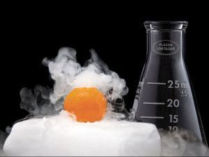 ciencia y cocina 2016